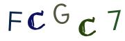 Bild-CAPTCHA