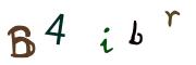 Bild-CAPTCHA