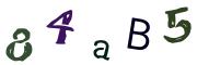 Bild-CAPTCHA