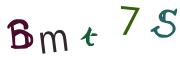 Bild-CAPTCHA