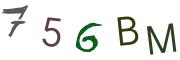 Bild-CAPTCHA