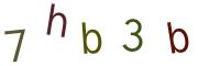 Bild-CAPTCHA