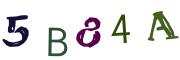 Bild-CAPTCHA