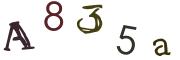 Bild-CAPTCHA
