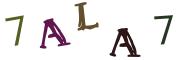 Bild-CAPTCHA