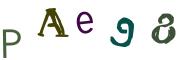 Bild-CAPTCHA