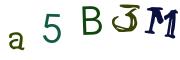 Bild-CAPTCHA