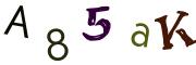 Bild-CAPTCHA