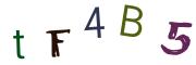 Bild-CAPTCHA