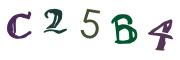Bild-CAPTCHA