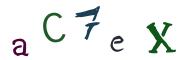 Bild-CAPTCHA