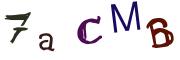 Bild-CAPTCHA