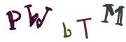 Bild-CAPTCHA
