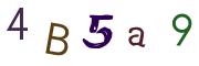 Bild-CAPTCHA
