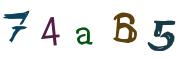 Bild-CAPTCHA