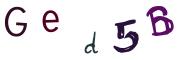 Bild-CAPTCHA