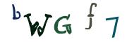 Bild-CAPTCHA