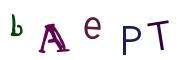 Bild-CAPTCHA
