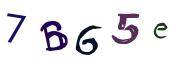 Bild-CAPTCHA