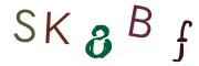Bild-CAPTCHA