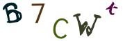 Bild-CAPTCHA