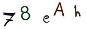 Bild-CAPTCHA